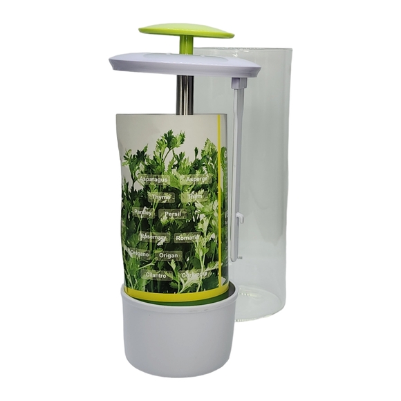 Cleae Borosilicate Glass Herb Keeper and Herb Storage‎ Container 12.2x4.7in - Picture 2 of 14